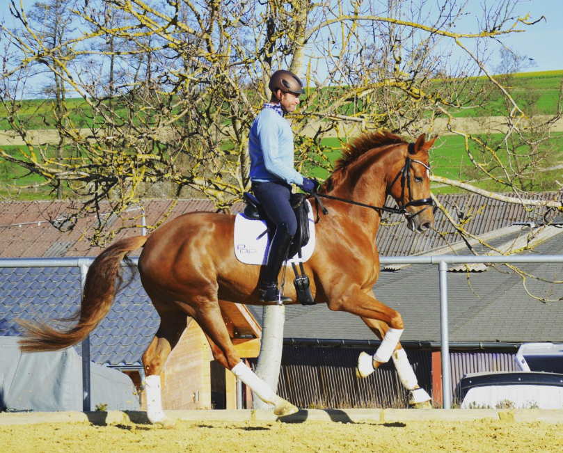 Über mich screenshot 2026 01 26 at 17.23.37